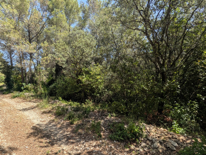 Offres de vente Terrain Milhaud (30540)