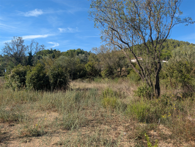 Offres de vente Terrain Langlade (30980)