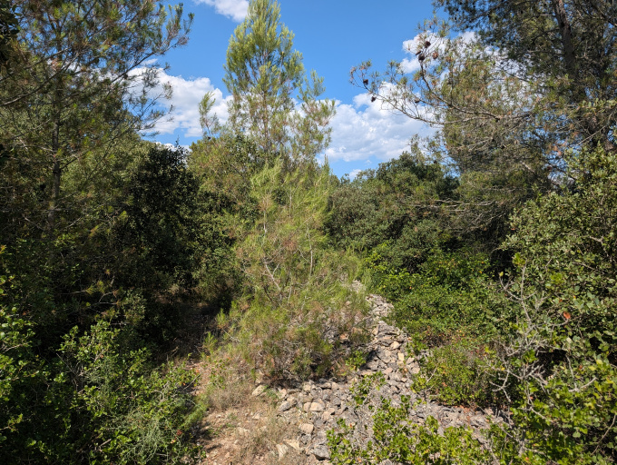 Offres de vente Terrain Milhaud (30540)